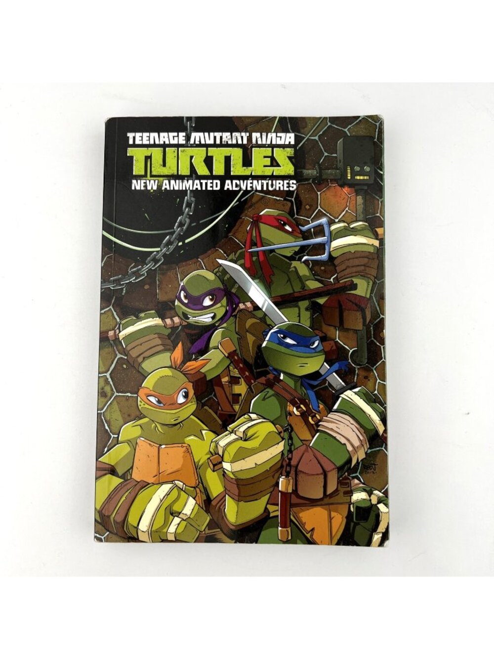 Teenage Mutant Ninja Turtles: New Animated Adventures Omnibus Volume 1 TMNT NAA